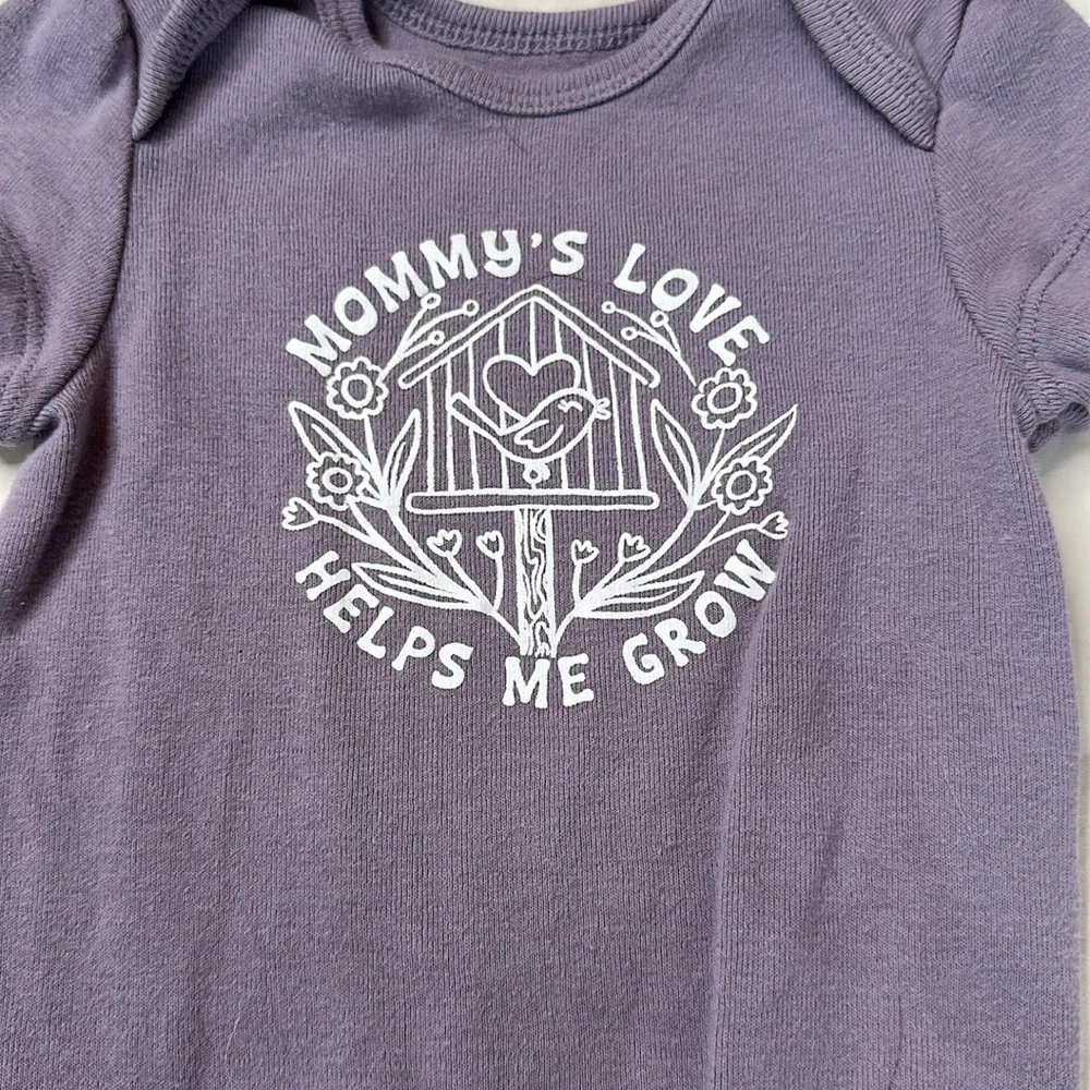 Carter’s bundle of 6 short sleeve baby girl onesies. They all have cute sayings.